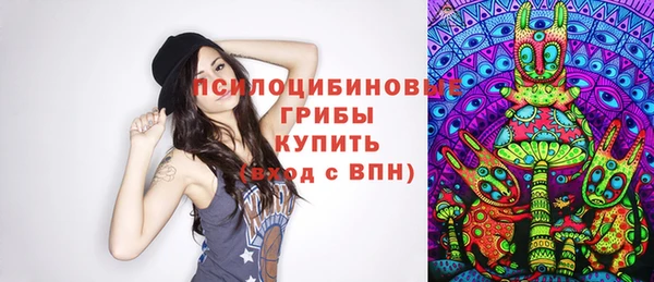 круглые Алексин