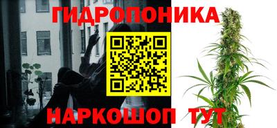 трава Заволжье