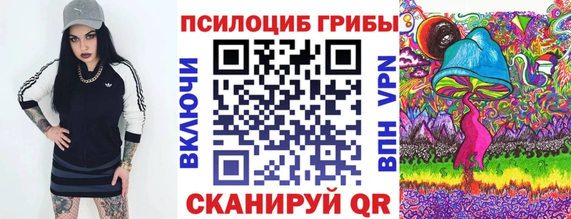 Галлюциногенные грибы Psilocybine cubensis  Волгодонск 