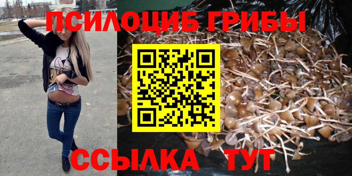 Волгодонск  Псилоцибиновые грибы Psilocybe  Вход с VPN  наркошоп  Псилоцибиновые грибы MAGIC MUSHROOMS 